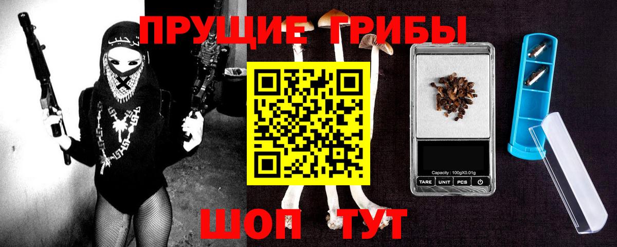 Кудрово  Галлюциногенные грибы GOLDEN TEACHER  Вход с VPN 